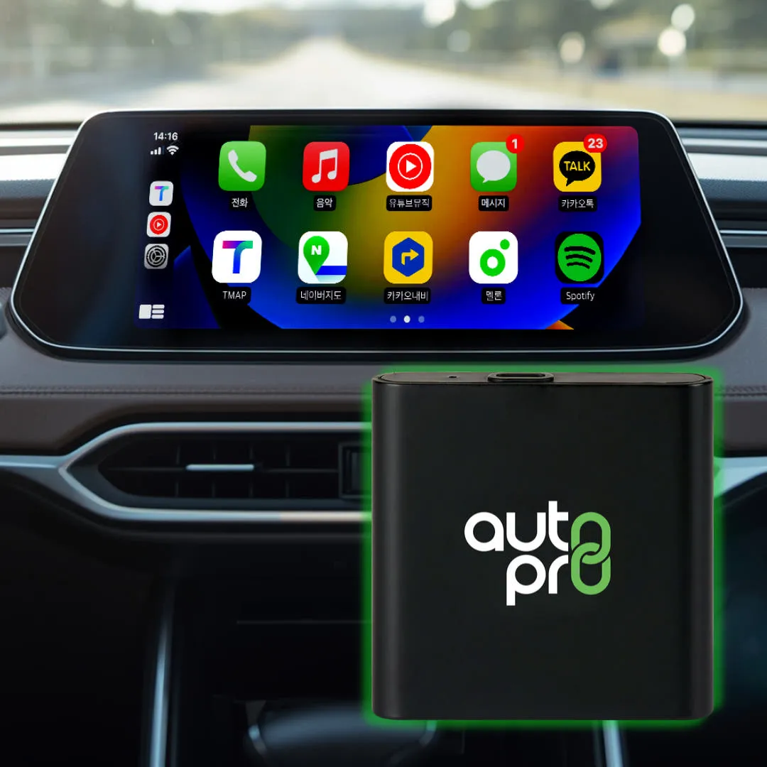 메이튼 오토 프로