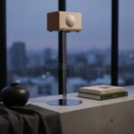 S 월넛 패키지 Surface: Raw concrete plinth. Props: A s