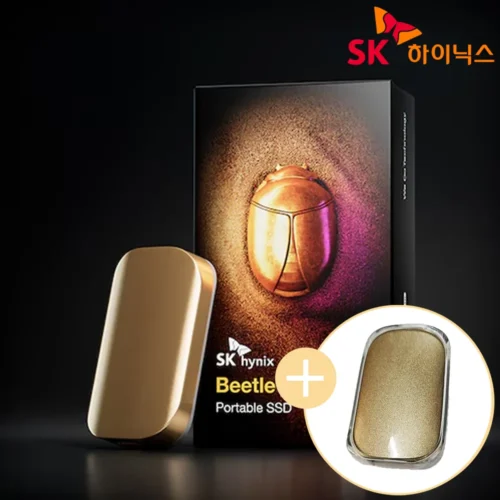 SK하이닉스 Beetle X31 1TB